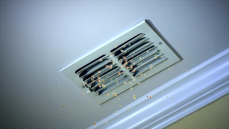 Best Best Air Duct Cleaning Company  in Canyonville, OR